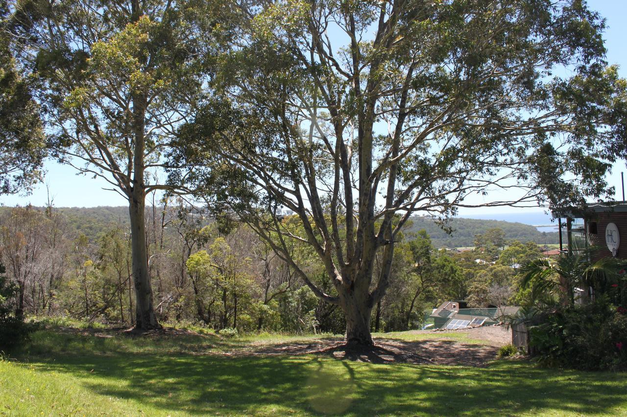 Hillcrest Merimbula Luaran gambar